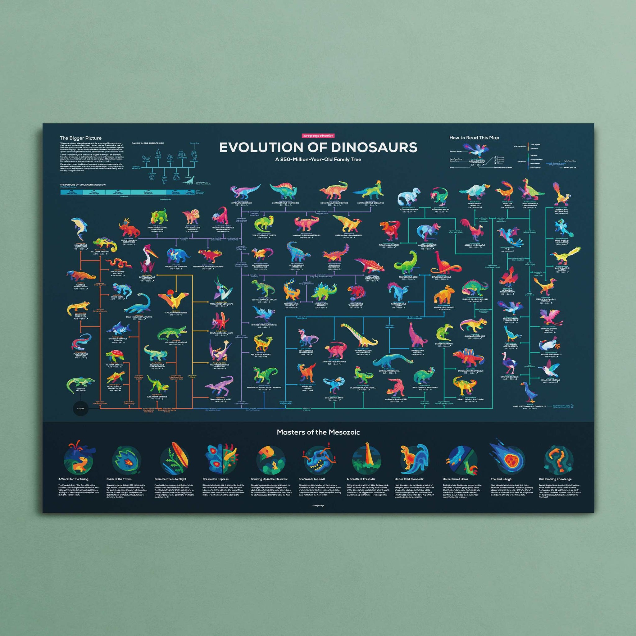 Map of Dinosaur Evolution Poster – the kurzgesagt shop