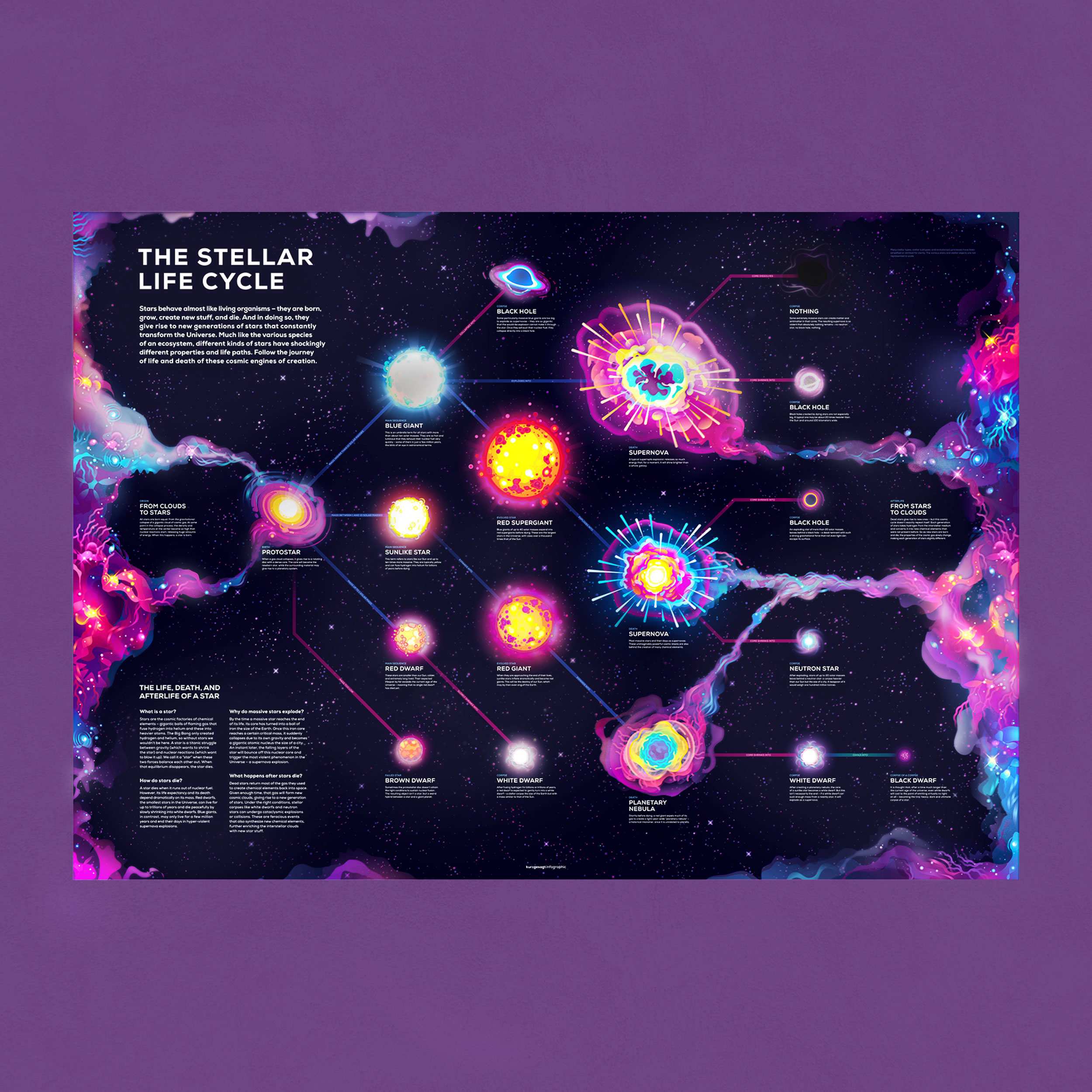 Cosmic Optimist Bundle