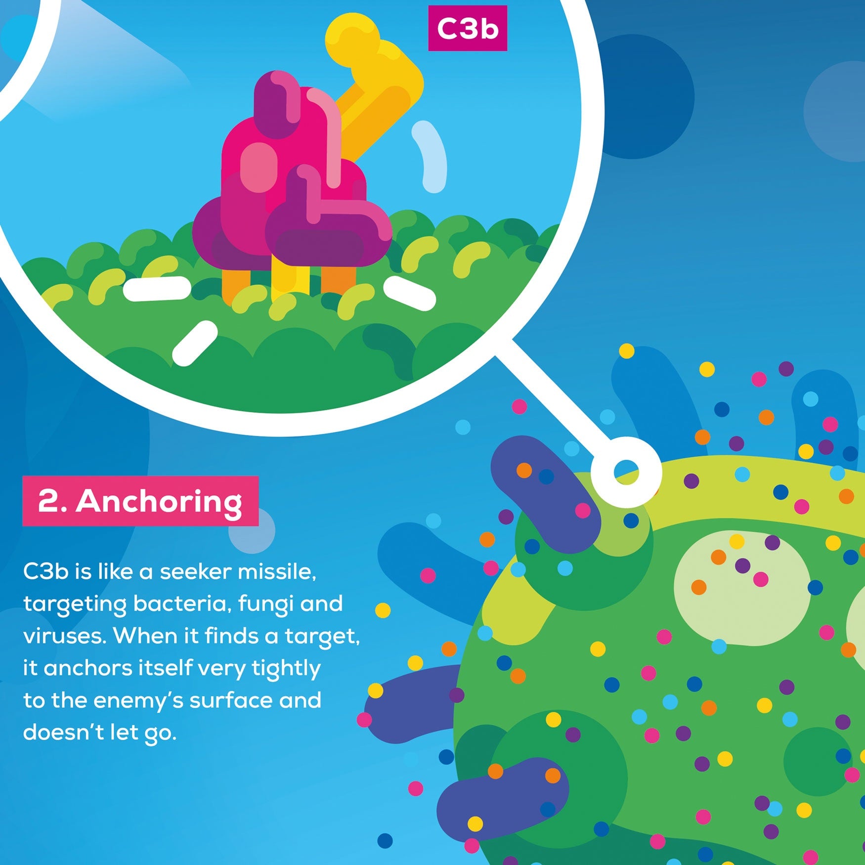 The Science & Life Collection – the kurzgesagt shop