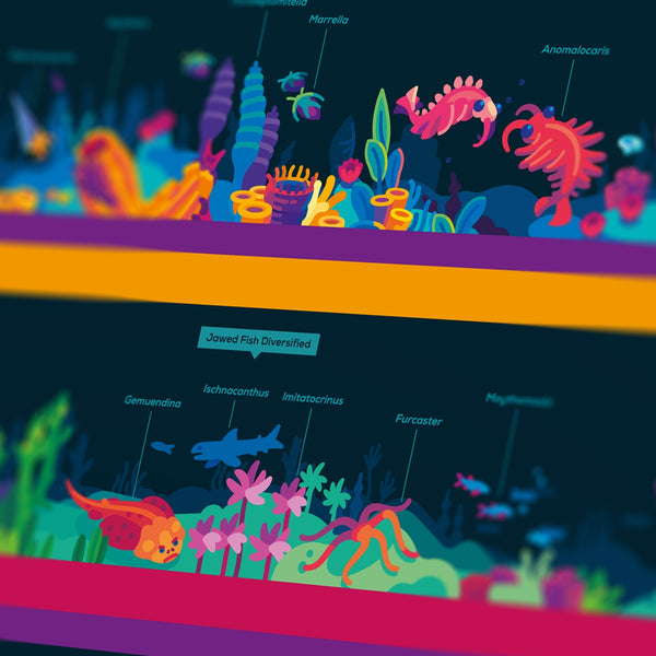 Timeline of Complex Life Poster – the kurzgesagt shop
