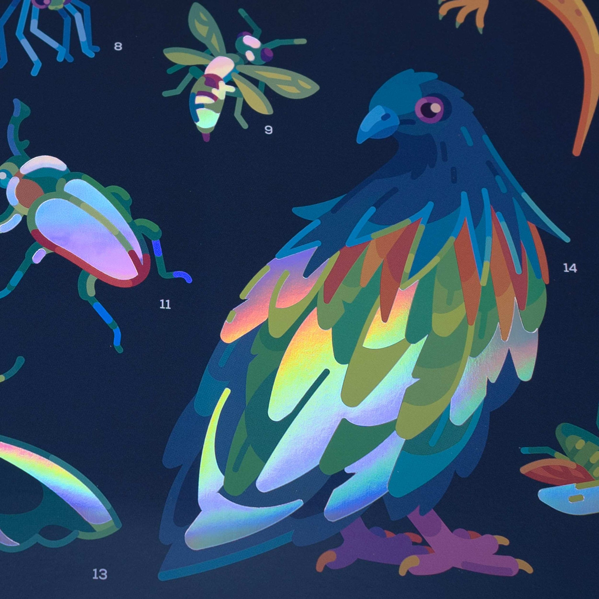 Iridescent Animals Poster The Kurzgesagt Shop iridescent-animals-poster-the-kurzgesagt-shop