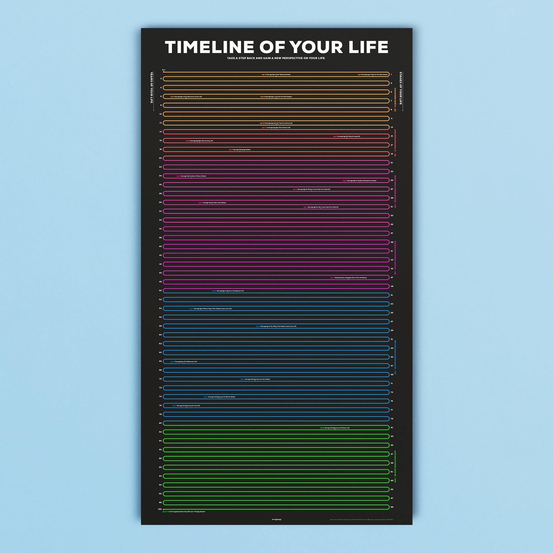 Timeline of Your Life Infographic Poster the kurzgesagt shop