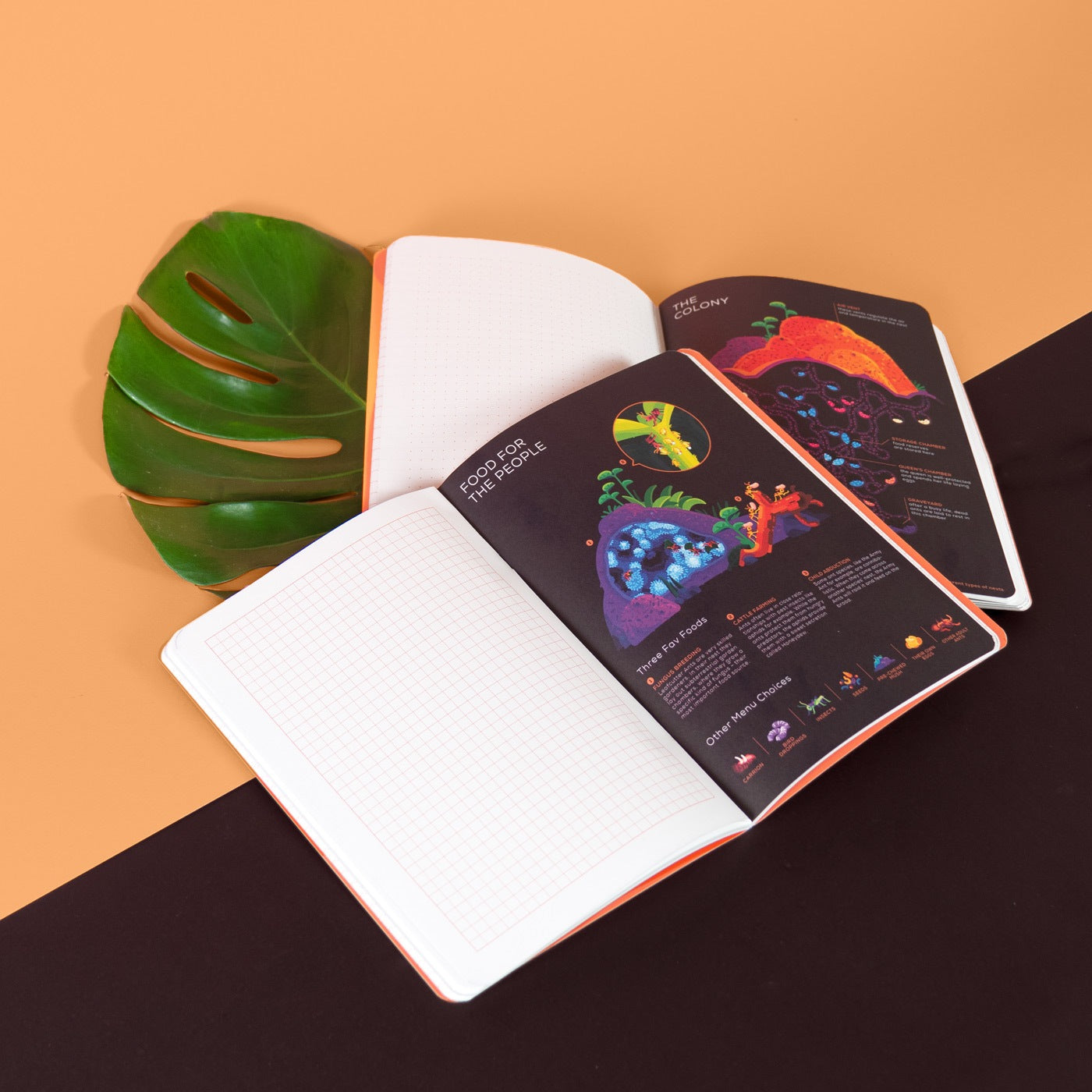 Ant Explorer Notebook – the kurzgesagt shop