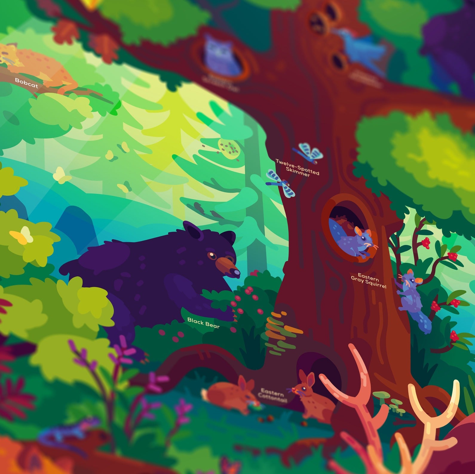 The Forest Poster High Quality Print The Kurzgesagt Shop the-forest-poster-high-quality-print-the-kurzgesagt-shop