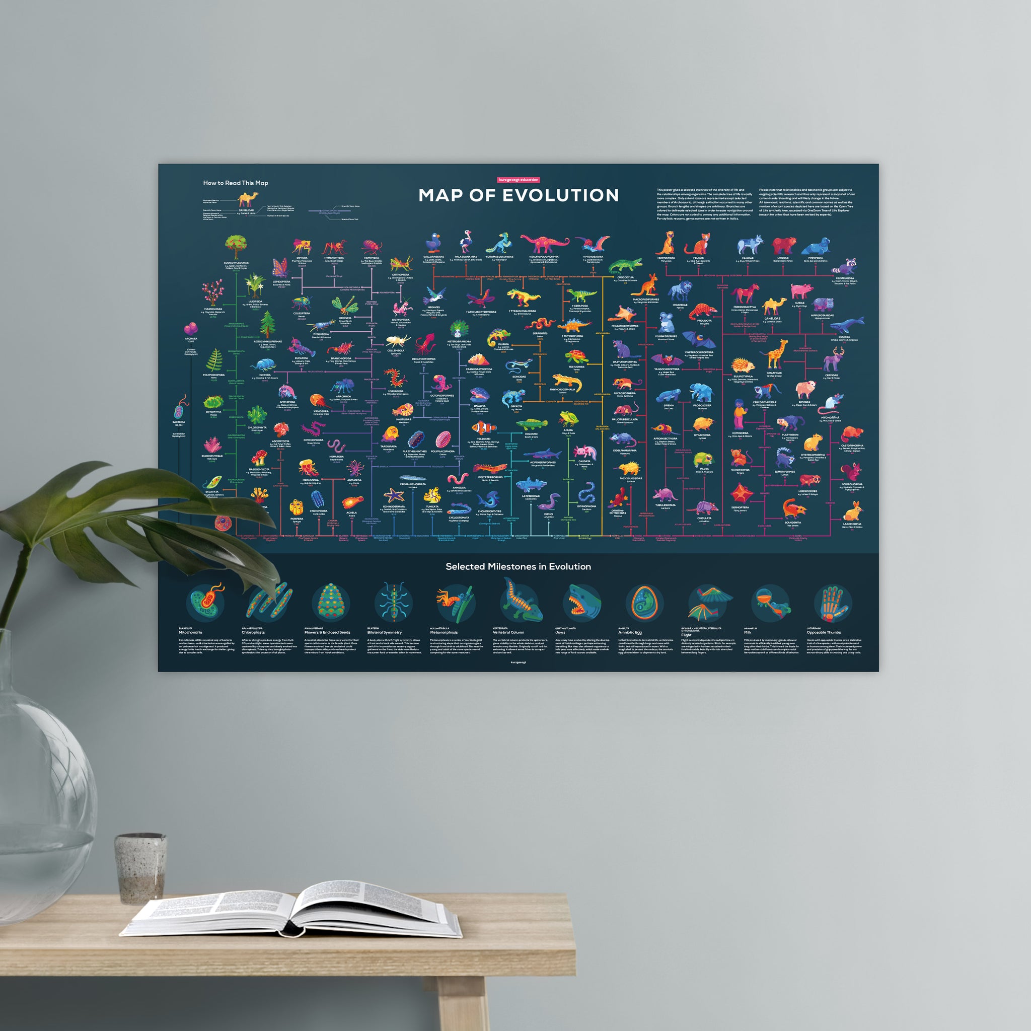 Map Of Evolution Poster Thoroughly Researched The Kurzgesagt Shop map-of-evolution-poster-thoroughly-researched-the-kurzgesagt-shop