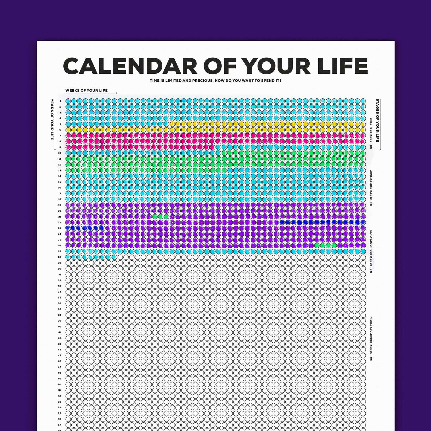 Calendar of your life infographic poster b w the kurzgesagt shop